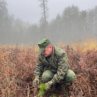 Белорусские военнослужащие продолжают участвовать в акции «Дай лесу новае жыццё!»