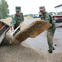  Белорусские военнослужащие продолжают оказывать помощь в уборке урожая
