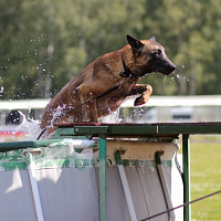 Служба одна на двоих