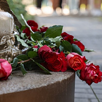 Торжественное открытие копии монумента «Воин-освободитель»