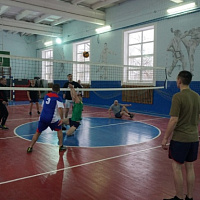 Чемпионат по волейболу