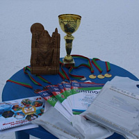 Чемпионат по лыжным гонкам