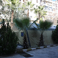 В сирийском Алеппо развёрнут полевой лагерь