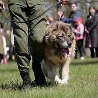 В столичном парке Победы прошли торжественные мероприятия	