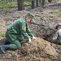 Поисковые работы в Светлогорском и Октябрьском районах Гомельской области