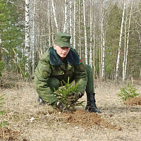Сделали благородное дело