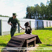 Военнослужащие кинологического центра Вооружённых сил со своими воспитанниками