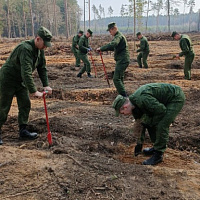 Сделаем наш мир лучше 