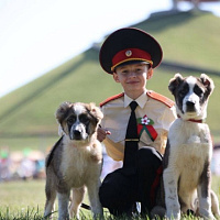 День Независимости — у Кургана Славы