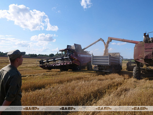 Военнослужащие сводного взвода продолжают оказывать помощь аграриям в сборе урожая