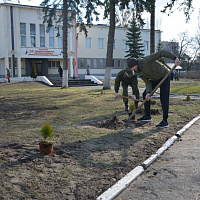 Брестские десантники присоединились к Республиканской акции «Неделя леса»