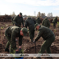 Военнослужащие ВВС и войск ПВО присоединились к республиканской акции «Дай лесу новае жыццё»