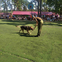 «Зарница» для юных патриотов