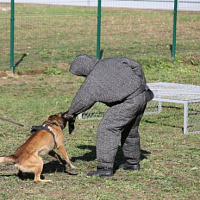 Служба одна на двоих