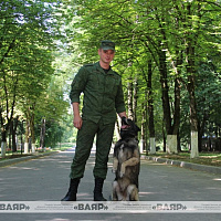Военно-профессиональный конкурс на лучшего специалиста служебного собаководства Вооружённых Сил «Верный друг»