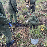 Военнослужащие 297 цуфпс внесли свой достойный вклад в создание будущего леса Минского гарнизона
