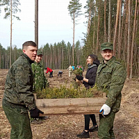 Лес – богатство нашей страны