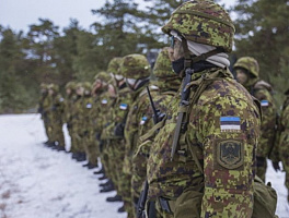 Армия Эстонии объявила зимний призыв и тендер на бронежилеты