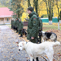 В гостях у военных кинологов