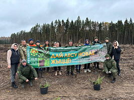 Белорусские военные продолжают участвовать в республиканской акции «Дай лесу новае жыццё!»