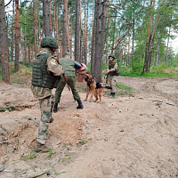 Военно-профессиональный конкурс на лучшее подразделение военных комендатур «Страж порядка»