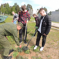 Добро пожаловать в наш армейский дом!