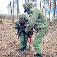 Белорусские военнослужащие продолжают принимать участие в республиканской акции «Дай лесу новае жыццё»