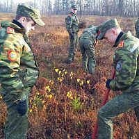 Приумножая лесной фонд страны