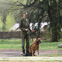 В Кинологическом центре Вооружённых Сил проходит сбор по специальности
