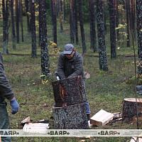 29 октября состоится чемпионат по колке дров среди журналистов
