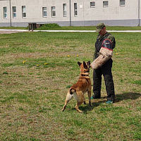 Продолжается подготовка белорусской сборной к конкурсу «Верный друг»