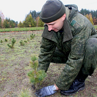 «Неделя леса»