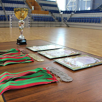 Чемпионат по мини-футболу