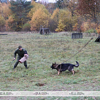 В гостях у военных кинологов