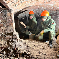 Армия не остаётся в стороне