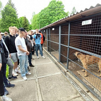 В гостях у военных кинологов