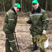 «Неделя леса»