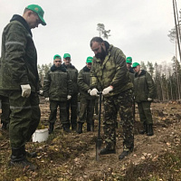 «Неделя леса»