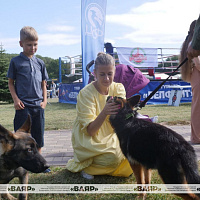 Украшение армейского праздника
