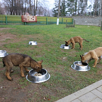 Служба одна на двоих