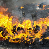 Под Борисовом прошли занятия по боевой подготовке