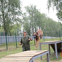 Держат ухо востро