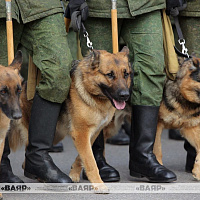Очередная тренировка расчетов пешей колонны к параду войск Минского гарнизона 9 Мая