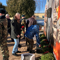 Алели гвоздики на белом снегу