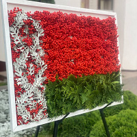 Праздник с участием зенитчиков