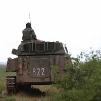 Расцвела буйным цветом «Гвоздика»