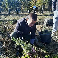Военнослужащие Вооружённых Сил принимают участие в республиканской акции «Дай лесу новае жыццё»
