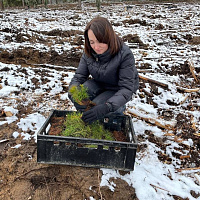 Республиканская добровольная акция «Аднавiм лясы разам!»