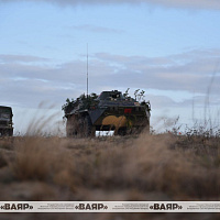 Батальонное тактическое учение с одним из подразделений 38 одшбр