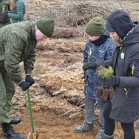Нужное и важное дело